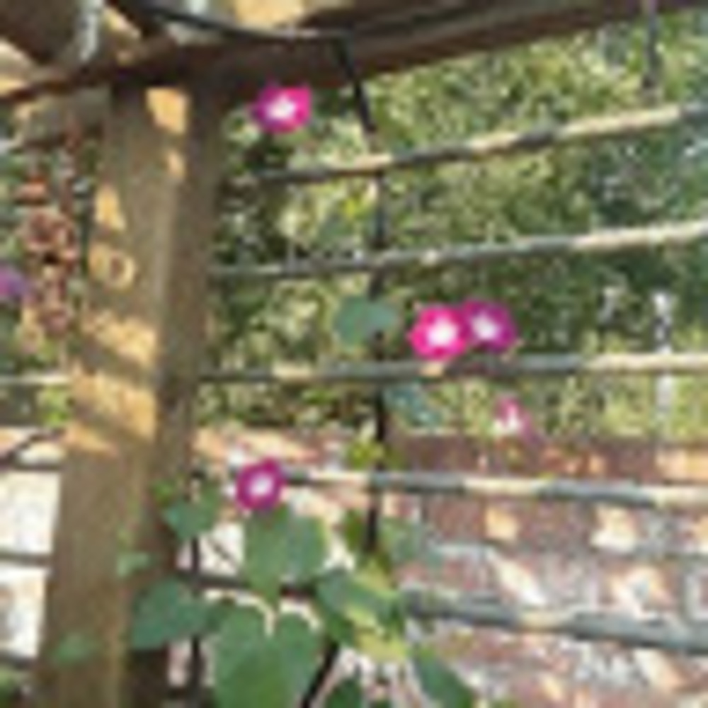 Meet your Posher, Jaimedeebee